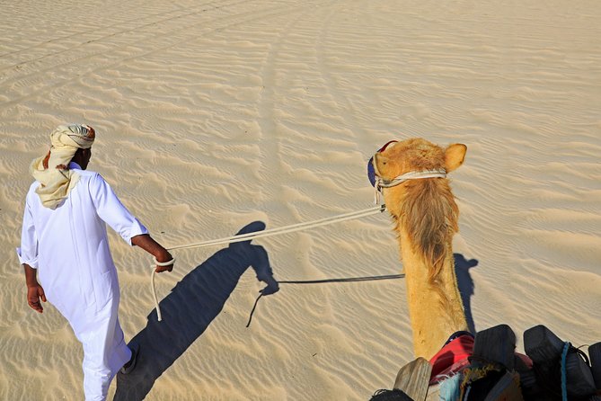 Desert Safari with Camel Ride, Sand Boarding & Inland Sea Tour in Doha - Sandboarding with several chances to try