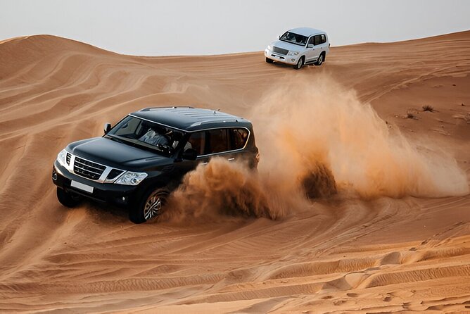 Desert Safari with Dune bashing BBQ Dinner and More Activities - Key Points at a Glance