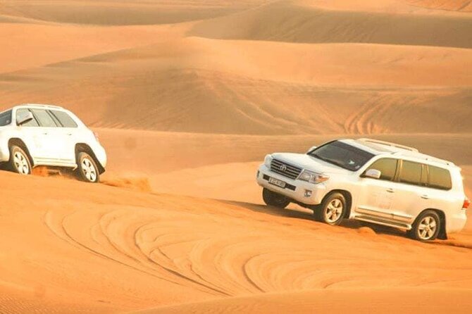Desert Safari with Dune bashing BBQ Dinner and More Activities - Red Sands Dune Bashing: The Main Event