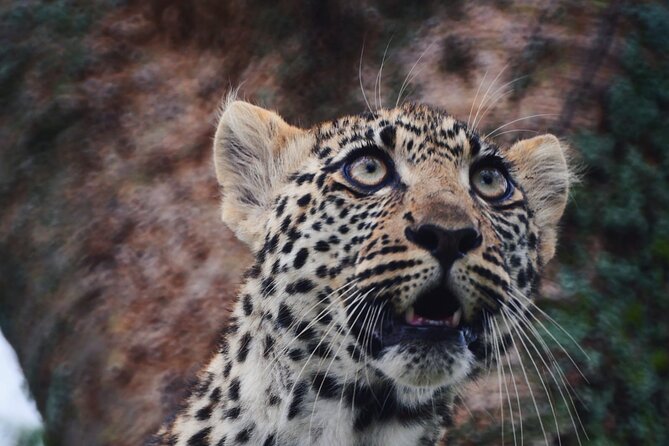 Discover the group joining for 5-day Tanzania safari in 2025 - Day five: Lake Manyara before returning to Arusha