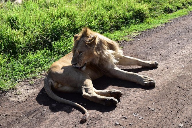 Discover The World's Top Best 4-day Tanzania Group Camping safari - The vehicle, group size, and daily comfort