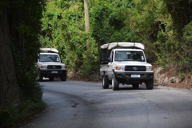 Discovery Safari - Five things to know before booking