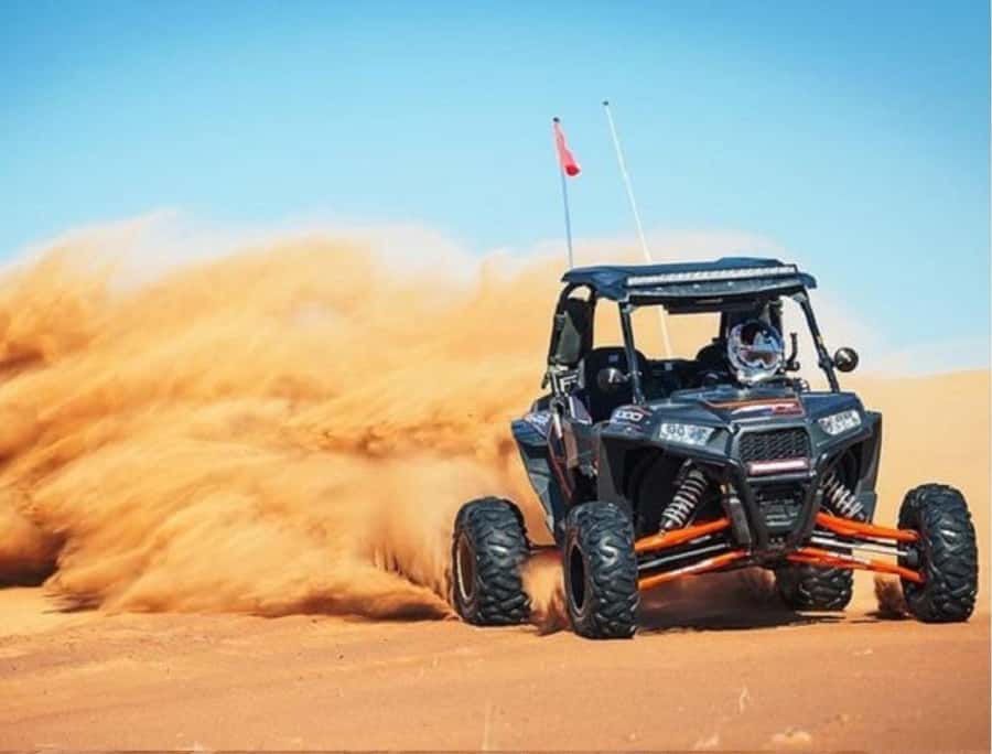 Doha Adventure Quad Bike Safari, Camel Ride & Refreshments - Should You Book the Doha Desert Adventure?