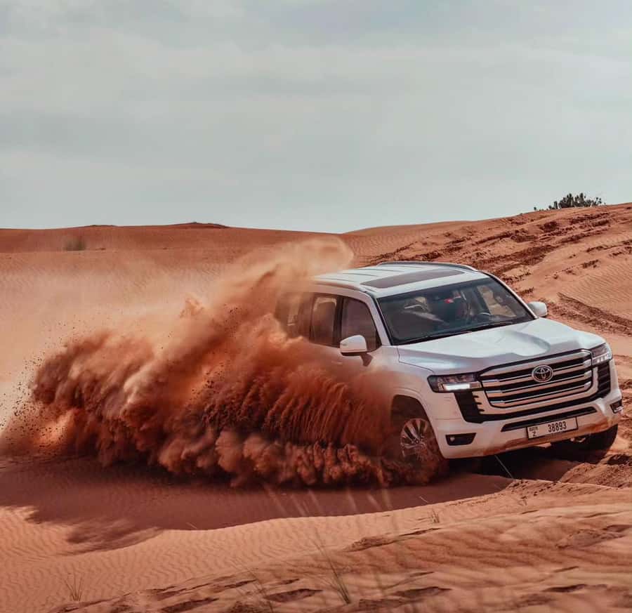Doha: ATV/Desert Safari with Activities and Inland Sea Stop - Camel riding: a short taste of tradition