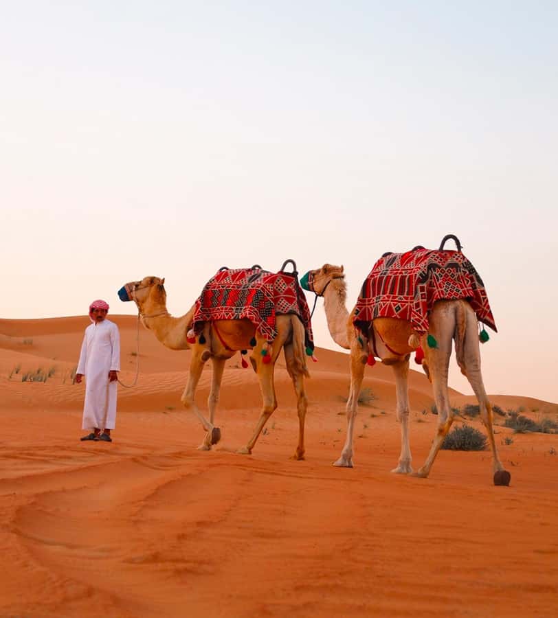 Doha: ATV/Desert Safari with Activities and Inland Sea Stop - Quad biking: check the package and the risk