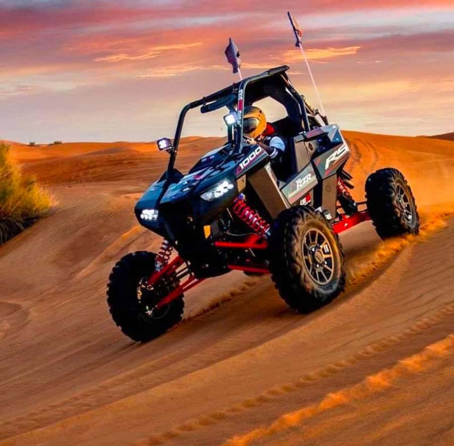 Doha: ATV Quad Bike and Buggy Desert Safari with Camel Ride - Meeting Bedouin hosts, camels, and falcons