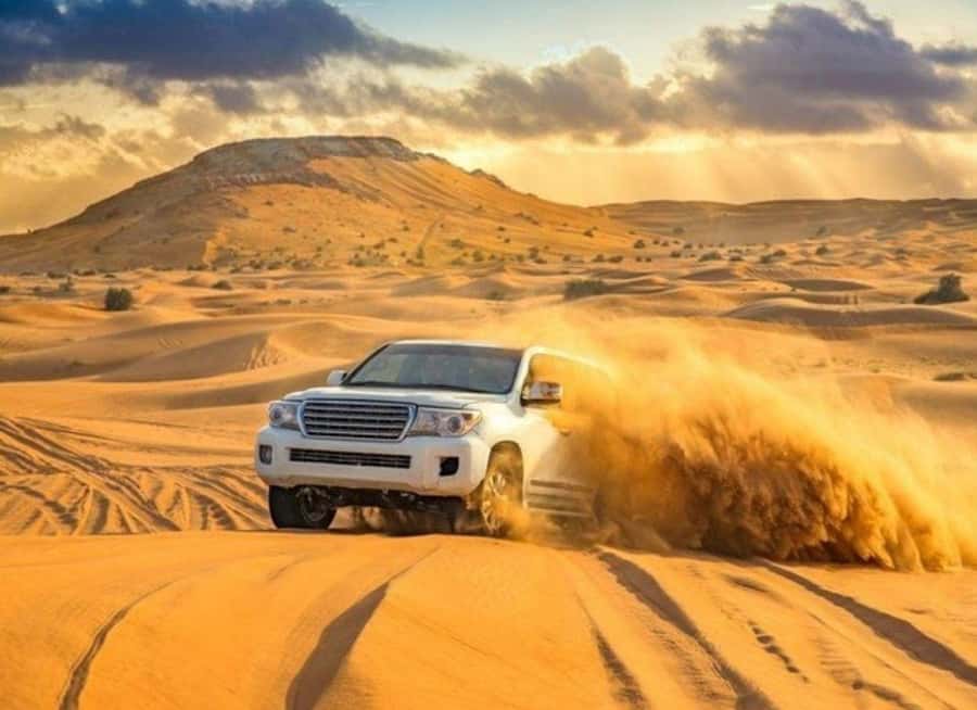 Doha: Budget Friendly Desert Safari,CamelRide & Sandboarding - Camel riding: a brief taste of desert travel