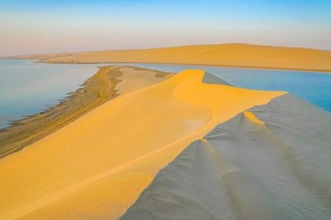 Doha Desert Safari Camel Ride, Sandboarding and Inland Sea - Sandboarding on the high dunes