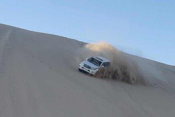 Doha Desert Safari Dune Bashing Camel Ride - Dune bashing with an experienced driver