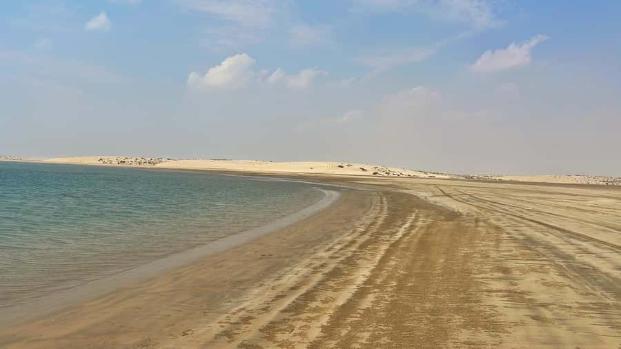 Doha: Desert Safari, Dune Bashing, Inland Sea With Transfers - The Inland Sea: desert meeting water