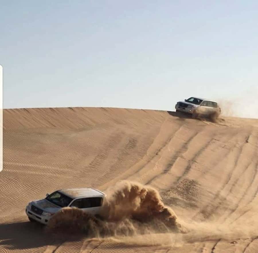 Doha: Desert Safari Dune Bashing, Sandboarding, & Camel Ride - Shared 4x4 or private vehicle?