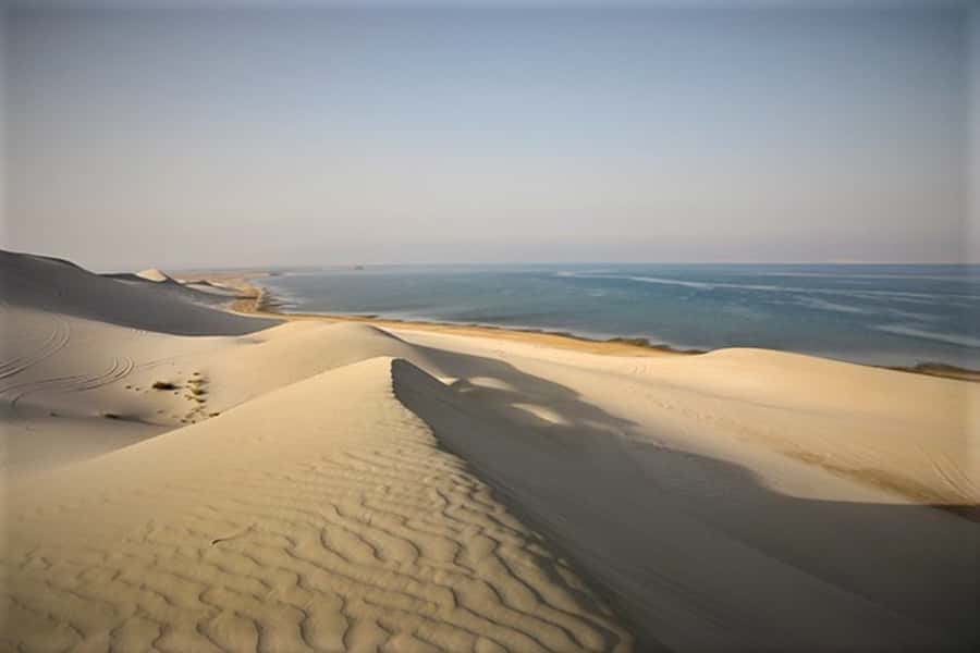 Doha: Desert Safari Dune Bashing, Sandboarding, & Camel Ride - Who should book this desert safari?