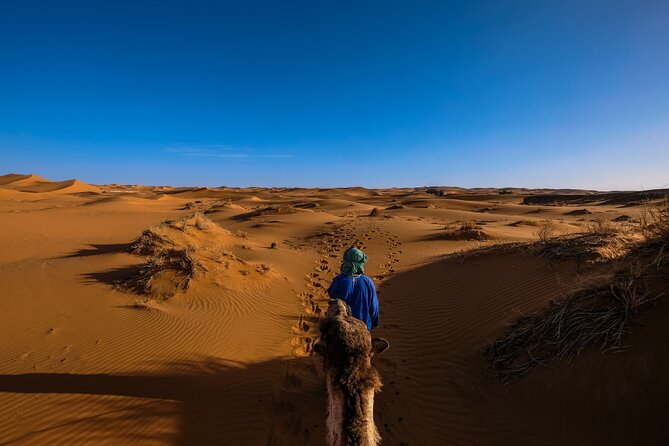Doha Desert Safari Dune bashing,Sandboarding,CamelRide,Inland Sea - The Guide Can Make or Break the Day
