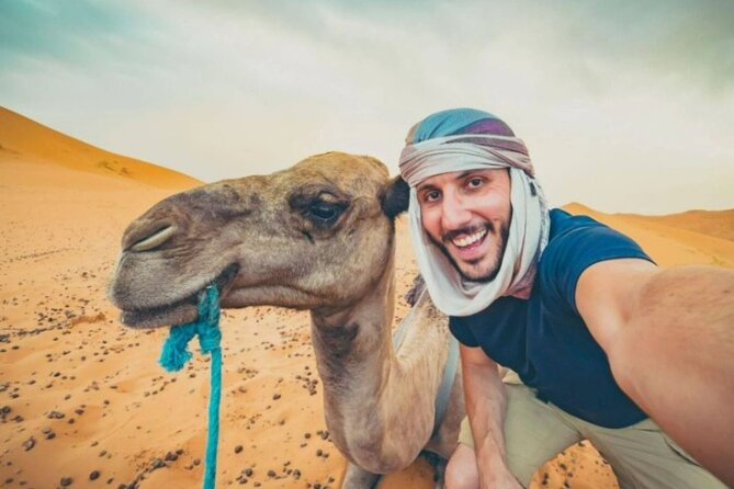 Doha Desert Safari Horse Riding, Camel Ride, ATVs & Inland Sea - Four hours from Doha to the Sealine dunes