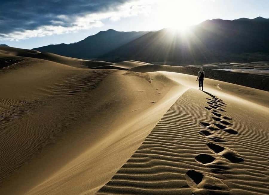 Doha: Desert Safari, Quad Biking, Sand Boarding & Camel Ride - Key points to know before booking