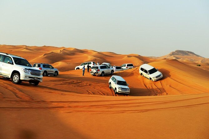 Doha: Desert Safari, Sand Boarding, Camel Ride & Inland Sea Tour - What the $49 price really covers