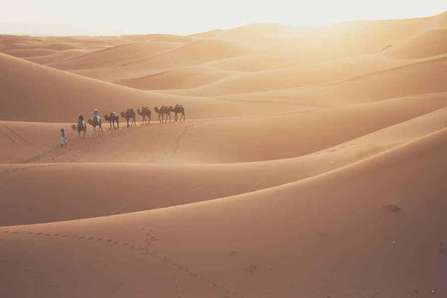 Doha: Desert Safari, Sandboarding, Camel Ride and Inland Sea - Dune bashing at the Inland Sea