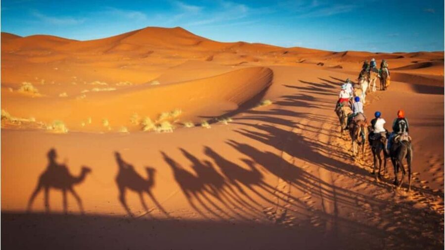 Doha: Desert Safari, Sandboarding, Camel Ride and Inland Sea - Sandboarding from the dunes