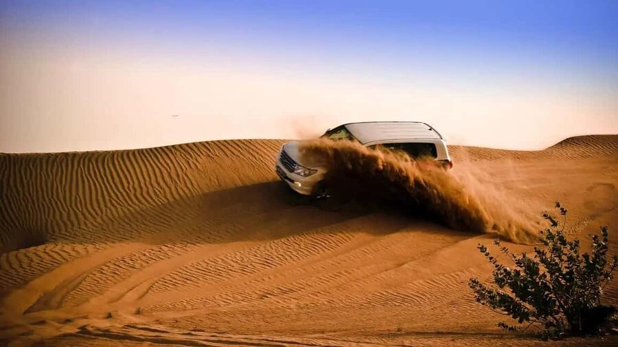 Doha: Desert Safari, Sandboarding, Camel Ride and Inland Sea - Starting at the National Museum of Qatar