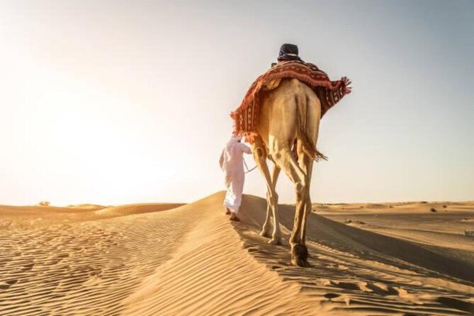 "Doha Desert : Safari, Sandboarding, Camel Ride & Inland Sea" - Booking details, timing, and cancellation