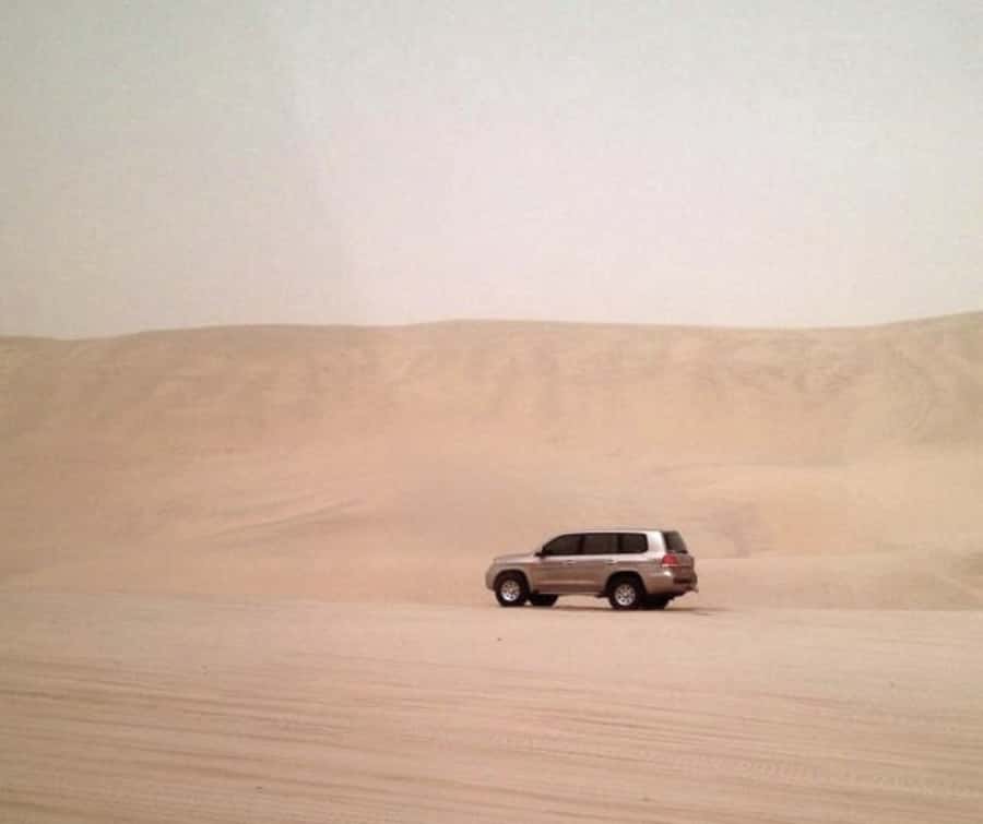 Doha Desert Safari: Sandboarding, Camel Ride & Swimming Fun - Key points to know before you book