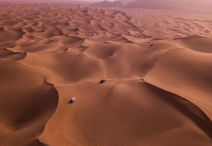 Doha: Desert Safari, Sandboarding, Dune Bashing & Inland Sea - Sandboarding on Qatar’s Dunes