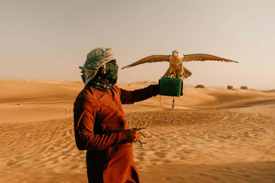 Doha: Desert Safari, Sandboarding, Dune Bashing & Inland Sea - Guides Make the Difference