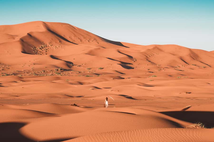 Doha: Desert Safari, Sandboarding, Dune Bashing & Inland Sea - Is $22 a Fair Price?