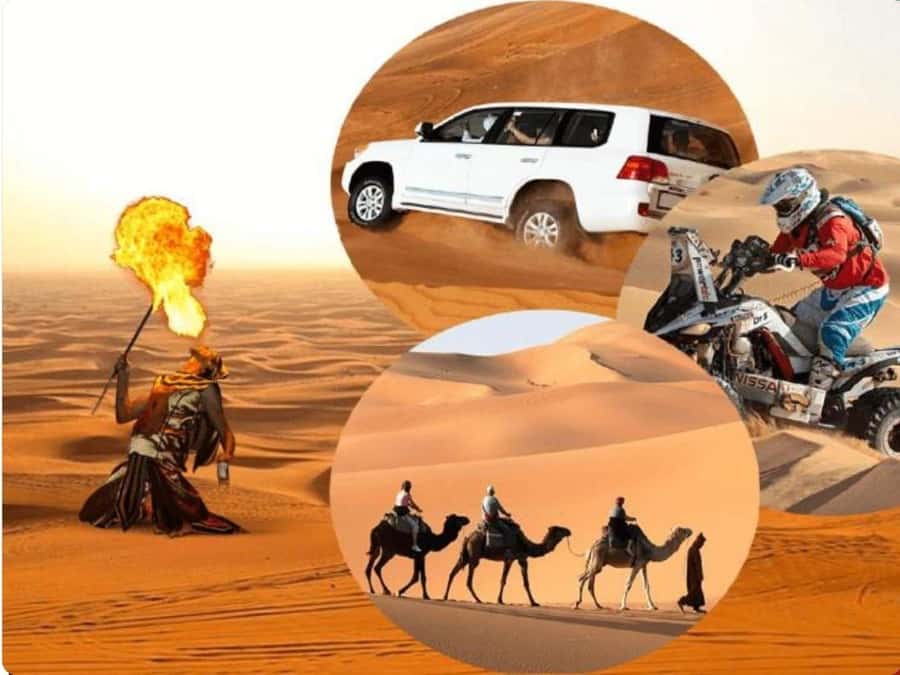 Doha:Desert Safari with Camel Ride, ATV Bike,& Sand Boarding - The best parts at a glance