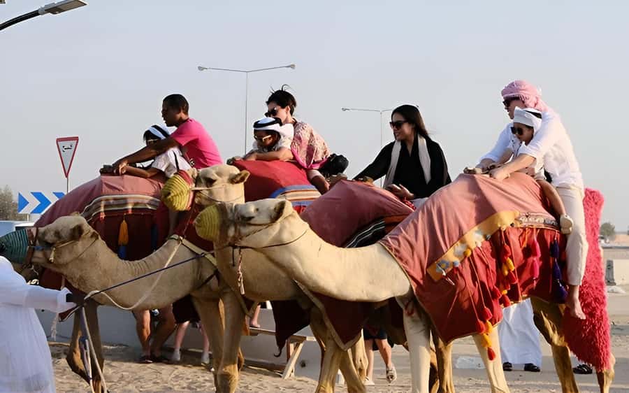 Doha: Desert Safari with Quad Bike, Sandboard & Camel Ride - Quad bike or dune buggy?