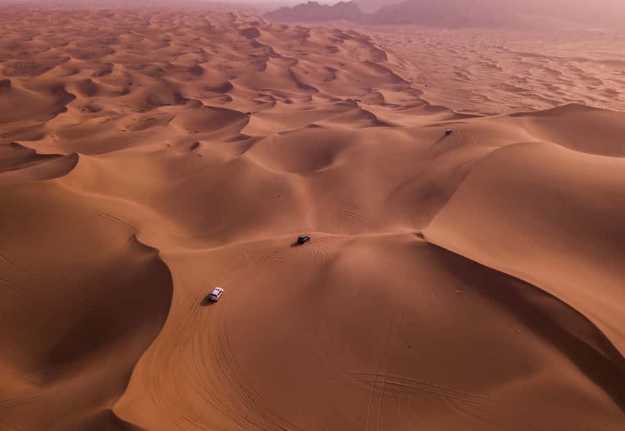 Doha: Desert Safari with Quad Bike, Sandboard & Camel Ride - Dune bashing in a 4WD Toyota