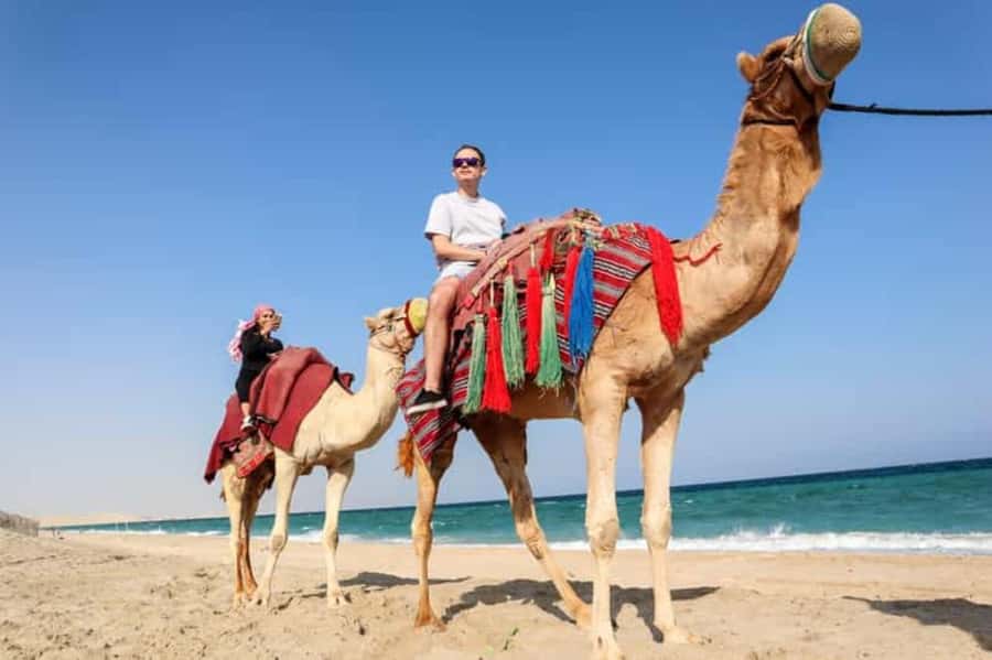 Doha: DesertSafari with Quad Bike, Camel Ride & Sandboarding - Sandboarding on soft golden dunes