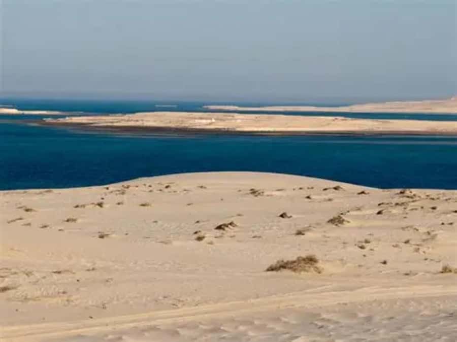 Doha: DesertSafari with Quad Bike, Camel Ride & Sandboarding - Is $18 good value?