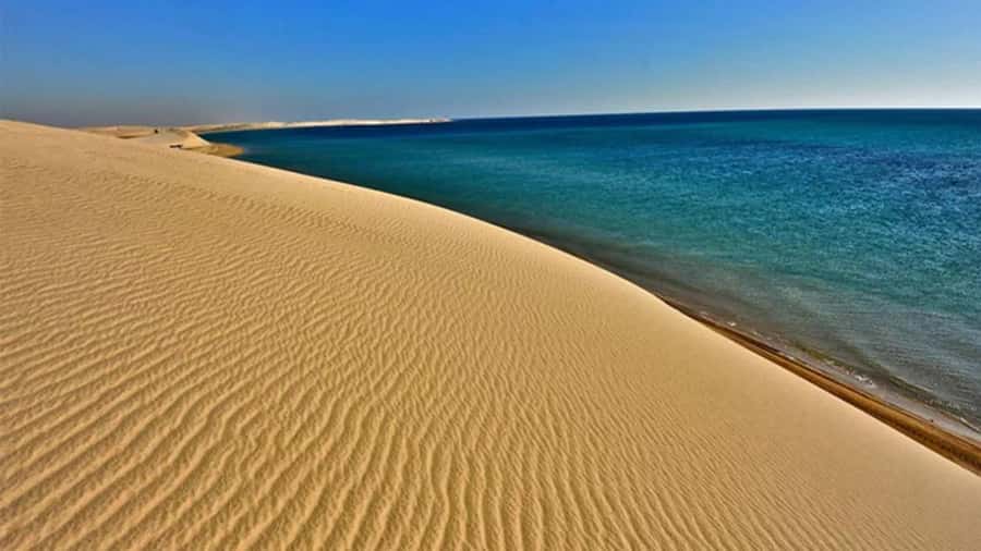 Doha: DesertSafari with Quad Bike, Camel Ride & Sandboarding - Dune bashing in a professional 4x4