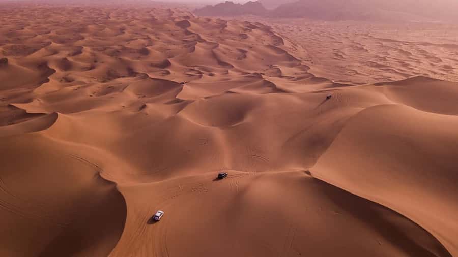 Doha: Dune Bashing Safari, Falcon, Camel, ATV, Sandboarding - From Doha pickup to the Sealine desert