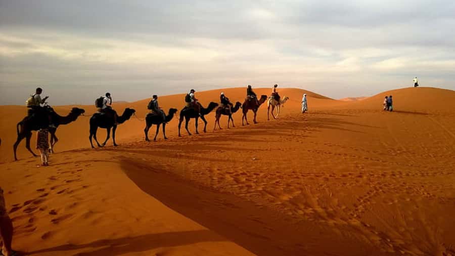 Doha: Dune Bashing Safari, Falcon, Camel, ATV, Sandboarding - The Inland Sea and the Saudi Arabia view
