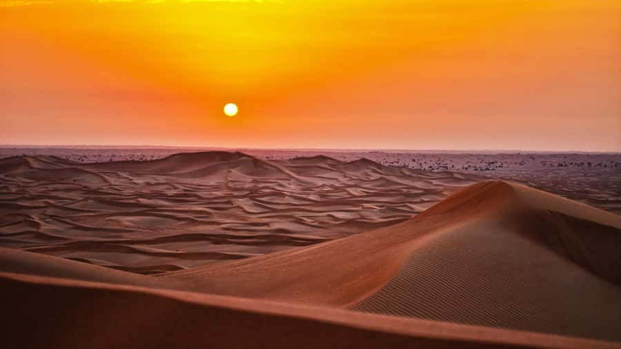 Doha: Dune Bashing Safari, Falcon, Camel, ATV, Sandboarding - What dune bashing feels like in practice