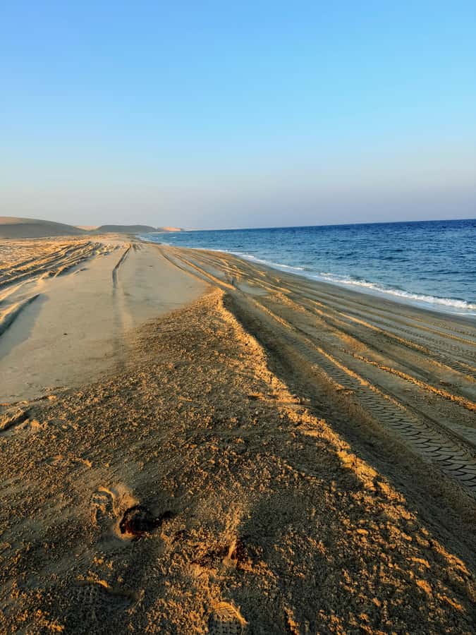 Doha: Guided Desert Safari Tour with Pickup & Drop Service - What the $26 price really includes
