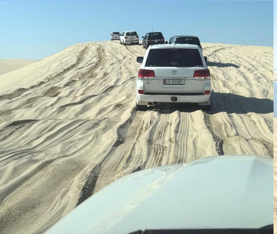 Doha: Guided Desert Safari Tour with Pickup & Drop Service - Small details that improve the day