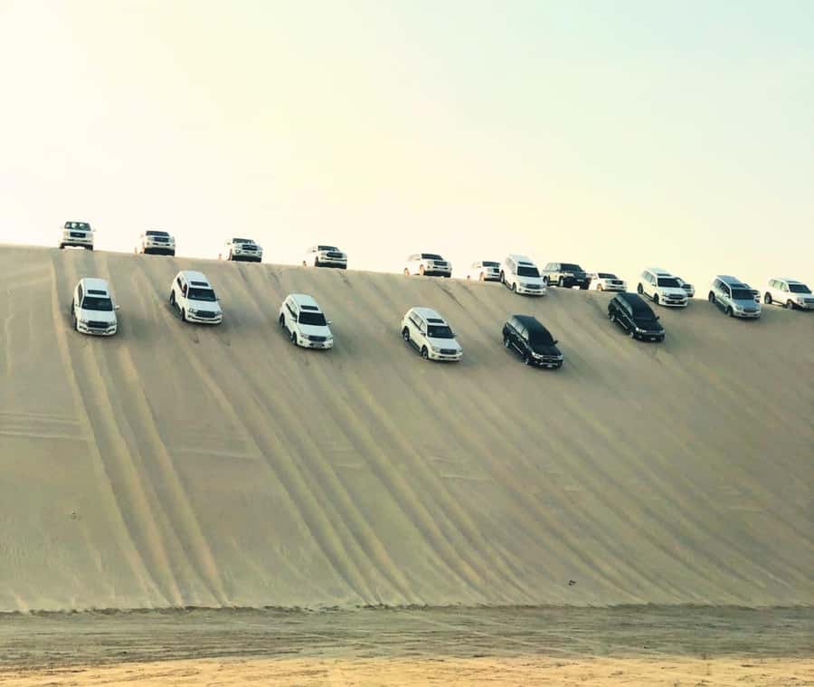 Doha: Guided Desert Safari Tour with Pickup & Drop Service - Should you book it?
