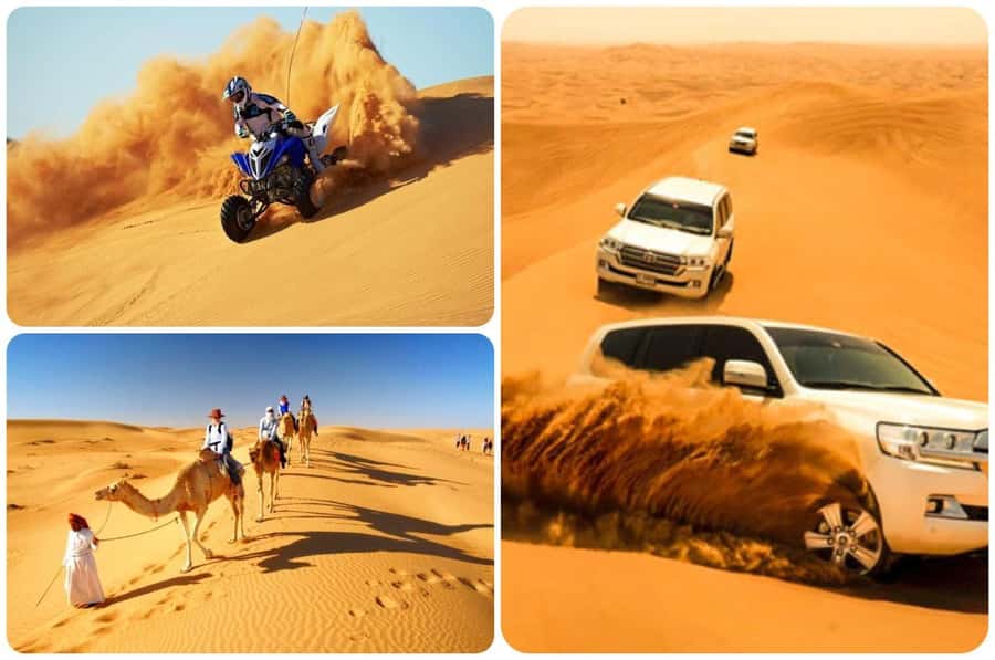Doha: Half Day Desert Safari, Dune Bashing, Camel Ride - Khor Al Adaid, Where Sand Meets Sea