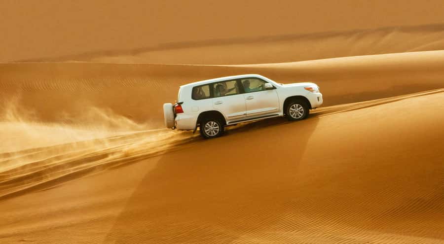 Doha: Half Day Desert Safari, Dune Bashing, Camel Ride - The Drive Back and the Five-Hour Schedule