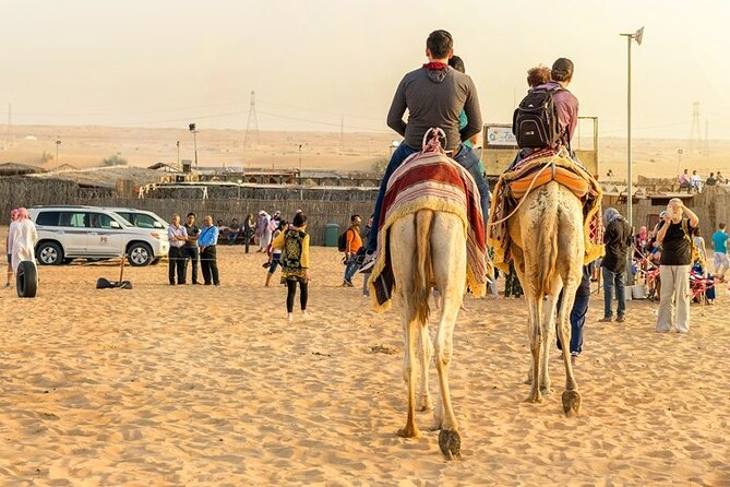 Doha Half Day Desert Safari Dune Bashing CamelRide & Sandboarding - Camel riding at Sealine Beach