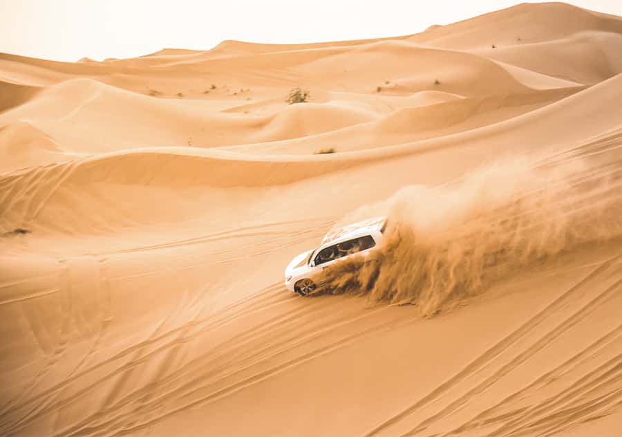 Doha: Half-Day Desert Safari, Quad Bike, Camels & Inland Sea - Key points at a glance