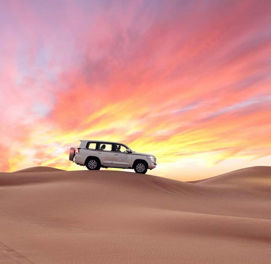Doha: Half Day Layover Desert Safari, Camel Ride, SandBoard - The Camel Ride Near Mesaieed