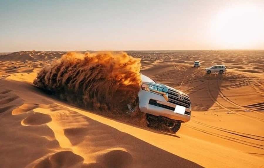 Doha: Half Day Layover Desert Safari, Camel Ride, SandBoard - Sandboarding on the Qatar Dunes