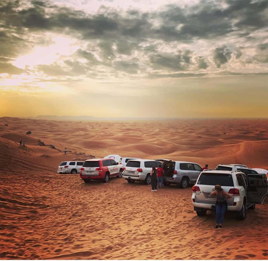 Doha: Half Day Layover Desert Safari, Camel Ride, SandBoard - The Inland Sea: A Memorable Final Stop