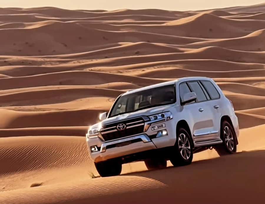 Doha: Half Day Layover Desert Safari, Camel Ride, SandBoard - Practical Advice for a Smooth Desert Visit