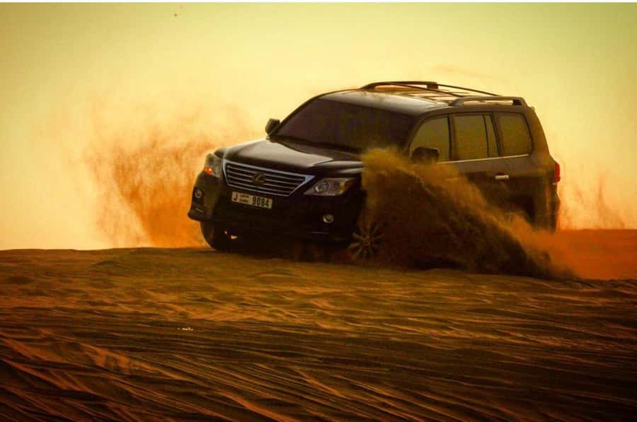 Doha: Half Day Layover Desert Safari, Camel Ride, SandBoard - Leaving Doha for Mesaieed
