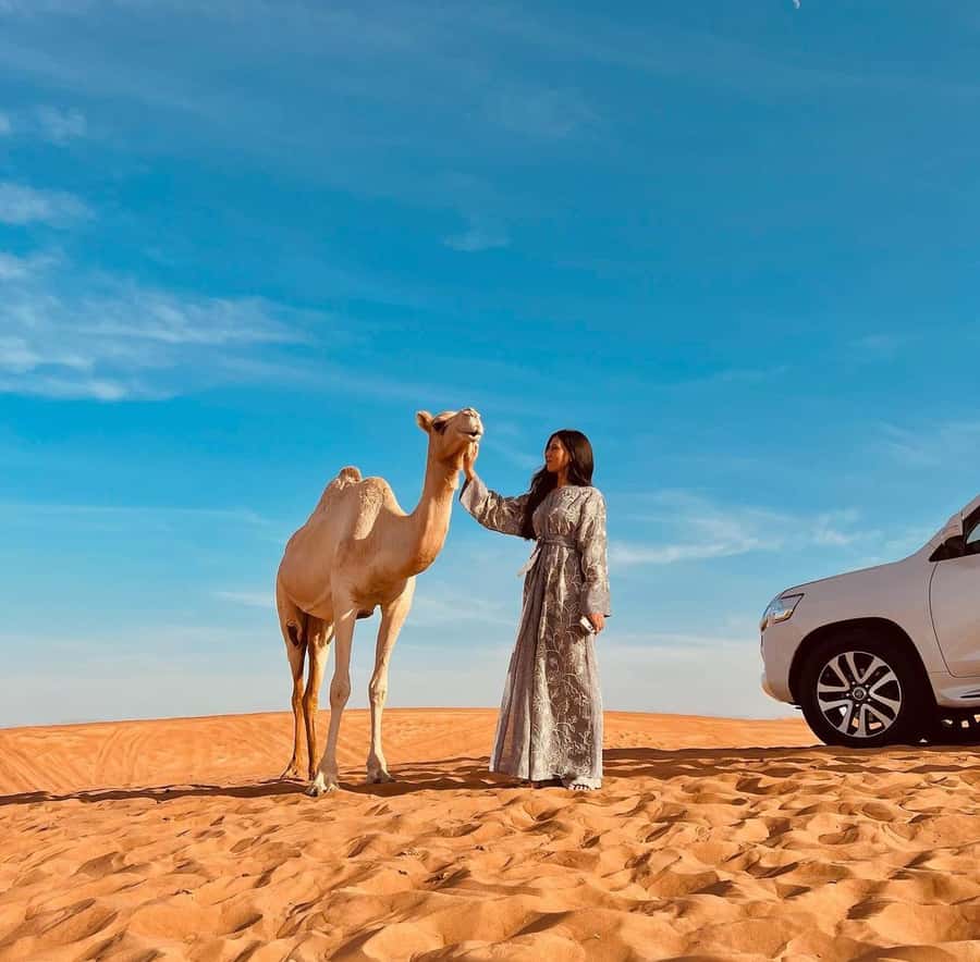 Doha: Inland Sea, Desert Safari, Camel Ride and Sandboarding - The Inland Sea at the end of the route